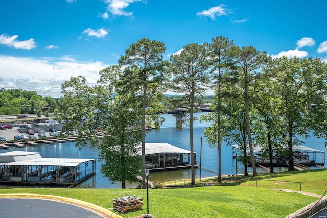 dock area with a water view and a lawn