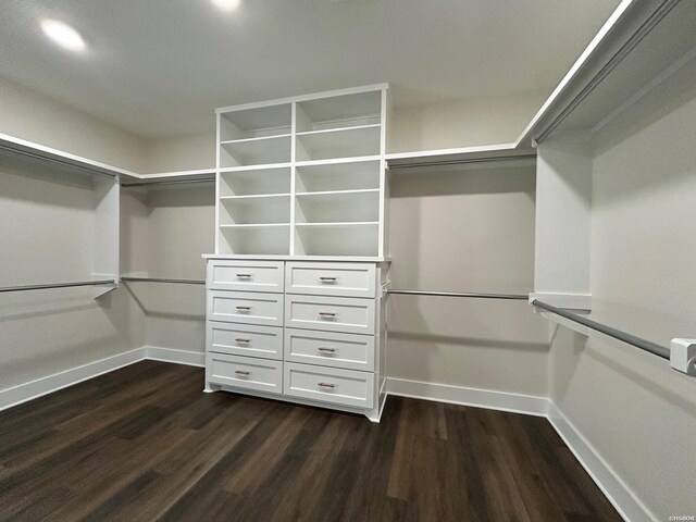 walk in closet with dark wood-type flooring