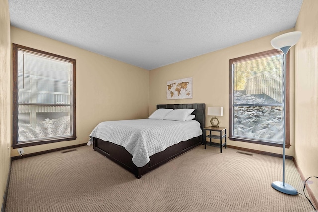 203 Stearns Pt Unit E1, Hot Springs, AR 71913 - bedroom featuring carpet flooring, baseboards, multiple windows, and a textured ceiling