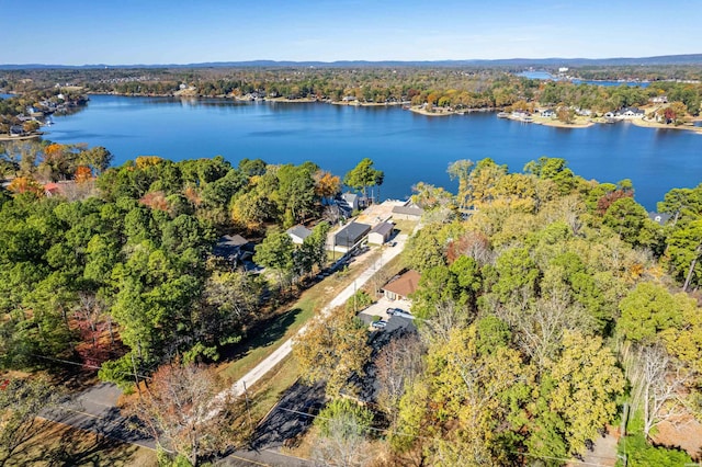 bird's eye view with a water view and a forest view