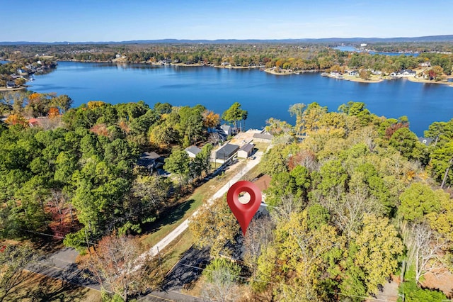 bird's eye view featuring a water view and a wooded view