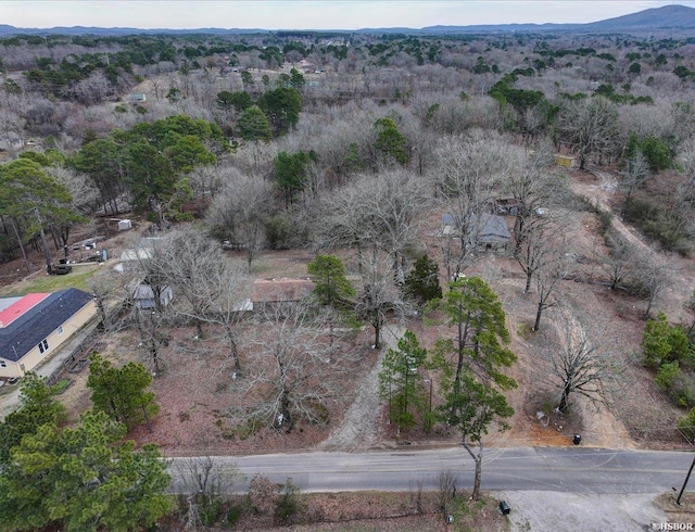 birds eye view of property featuring a mountain view