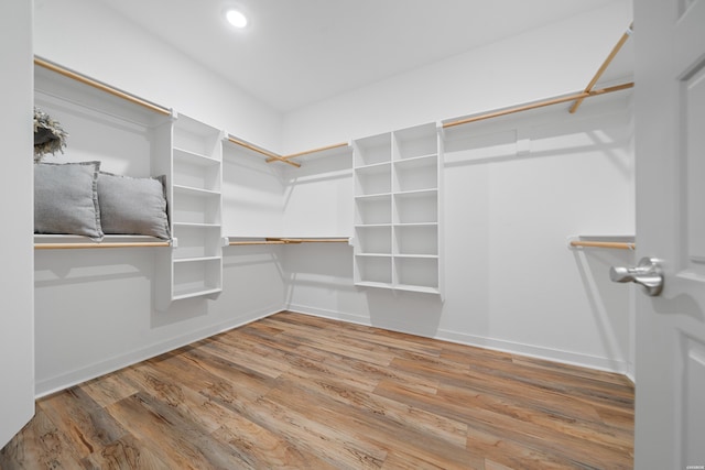 spacious closet featuring wood finished floors