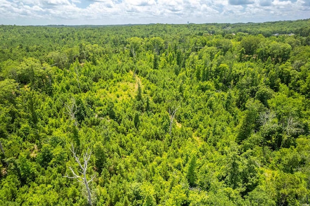 4713 Jackman Trl, Benton, AR 72019