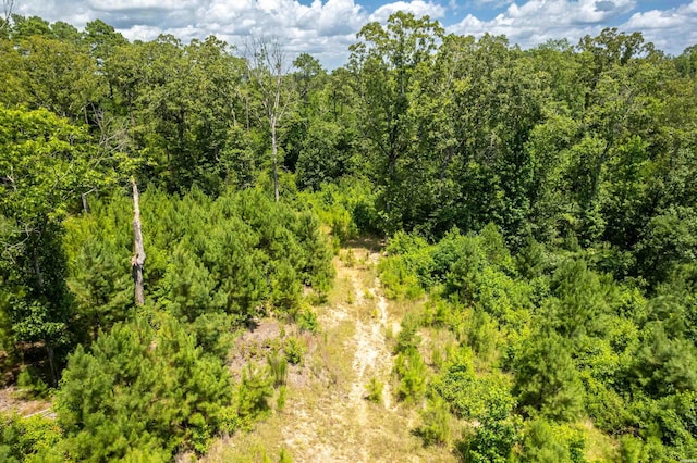 4713 Jackman Trl, Benton, AR 72019