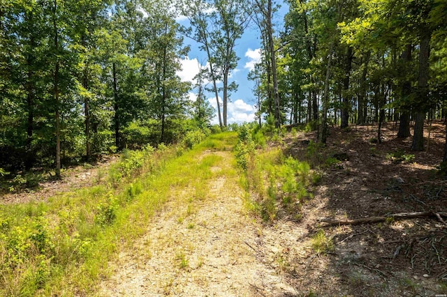 4713 Jackman Trl, Benton, AR 72019