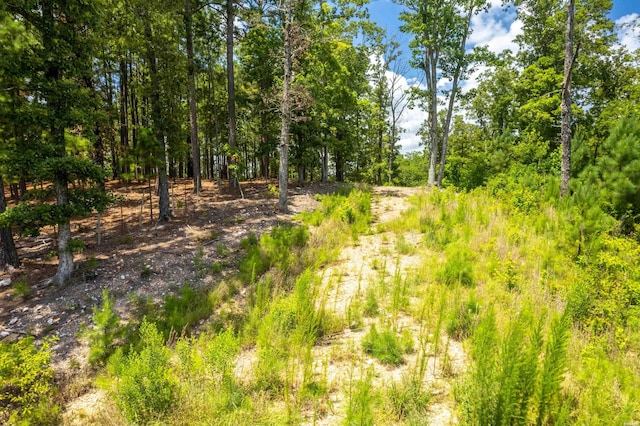 4713 Jackman Trl, Benton, AR 72019