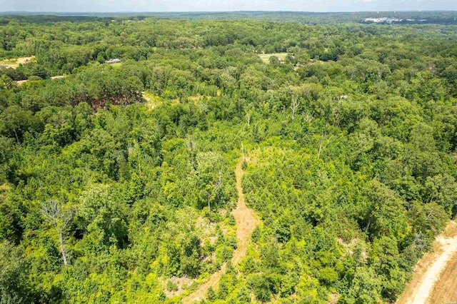 4713 Jackman Trl, Benton, AR 72019