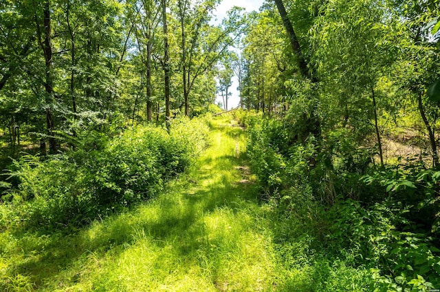 4713 Jackman Trl, Benton, AR 72019