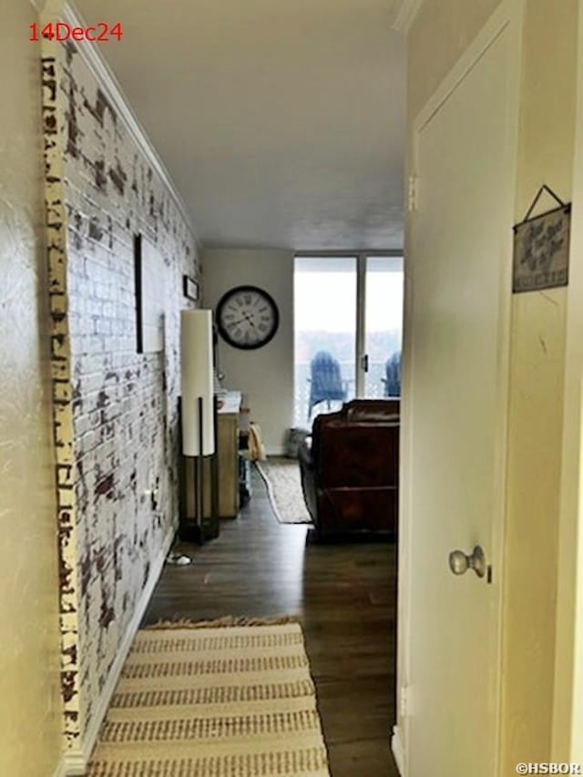 corridor featuring crown molding and dark wood finished floors