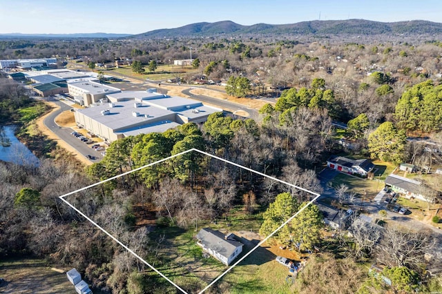 birds eye view of property with a mountain view