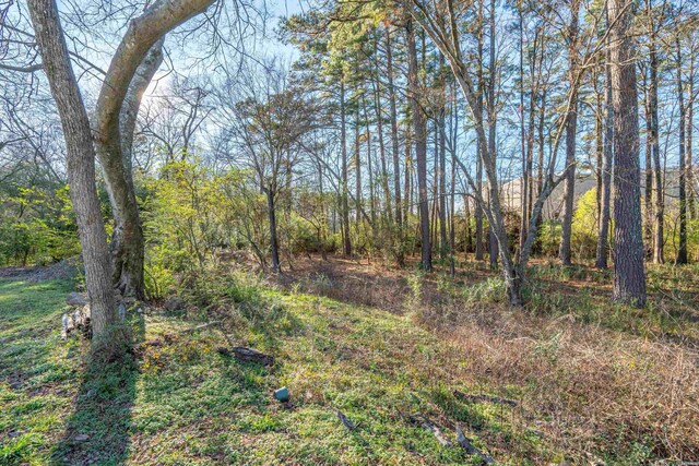 view of local wilderness with a forest view