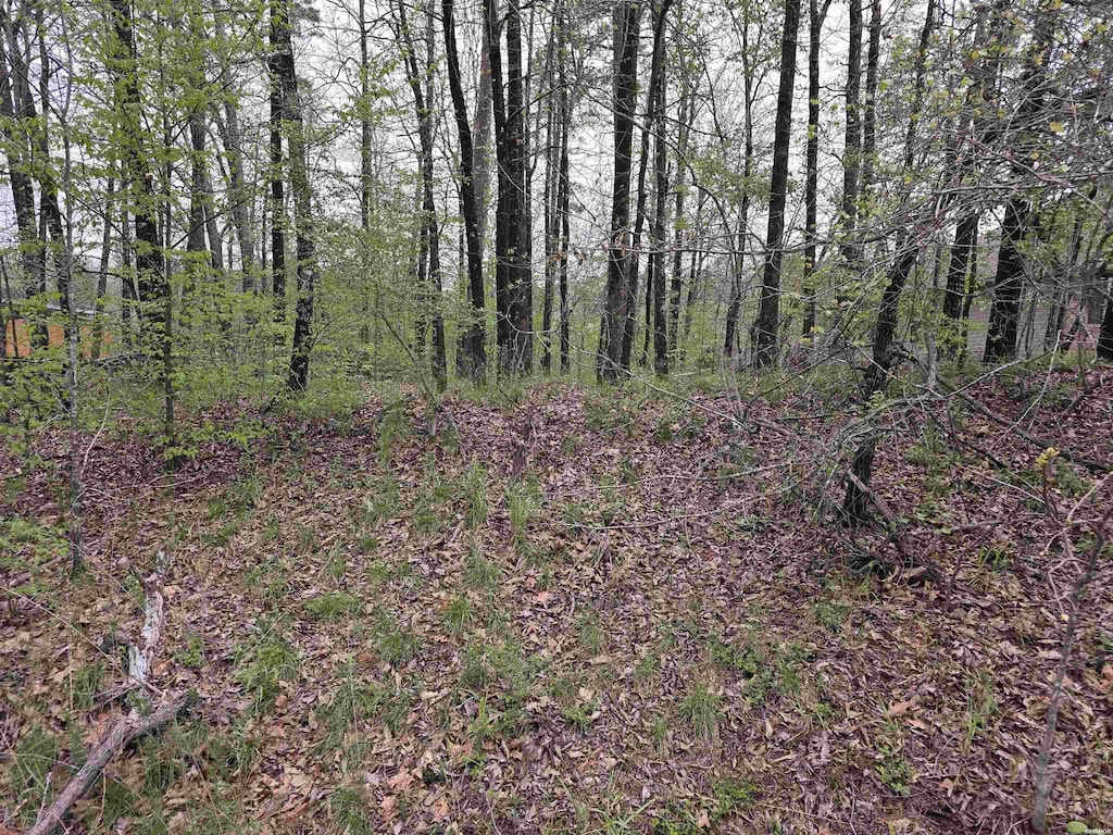 LOT152 Spyglass, Hot Springs, AR 71913 - photo 1