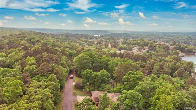 000 Clover Ridge Ct, Hot Springs, AR 71913 - photo 1