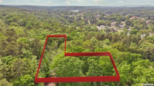 000 Clover Ridge Ct, Hot Springs, AR 71913 - photo 4