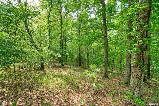 000 Clover Ridge Ct, Hot Springs, AR 71913 - photo 5