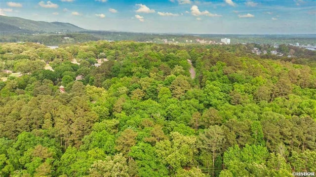 000 Clover Ridge Ct, Hot Springs, AR 71913 - photo 3