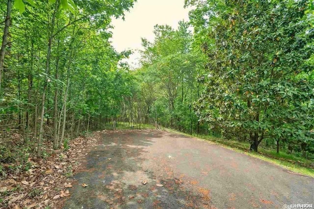 000 Clover Ridge Ct, Hot Springs, AR 71913 - photo 2