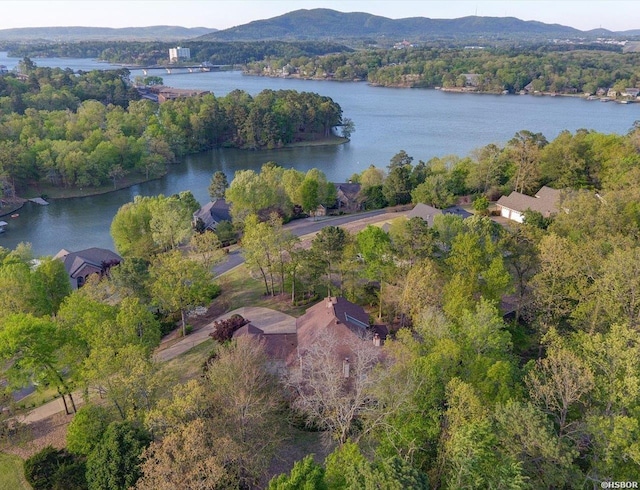 birds eye view of property with a wooded view and a water and mountain view