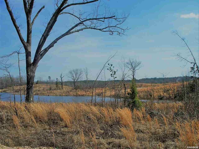 LOT21 Elk Mdws, Hot Springs, AR 71901 - photo 26