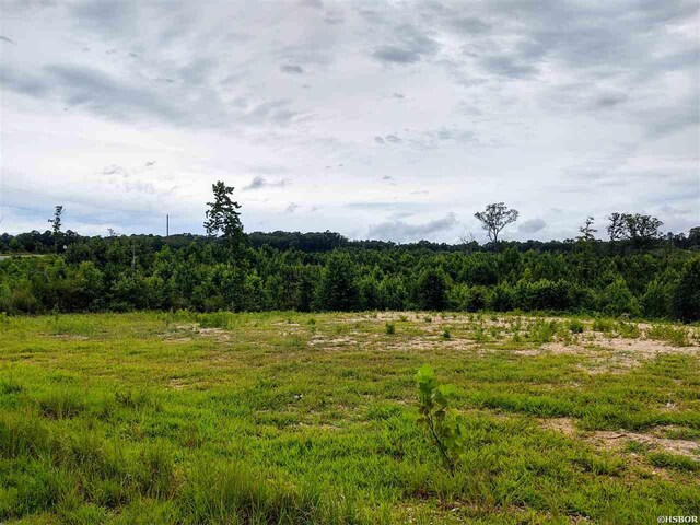 LOT21 Elk Mdws, Hot Springs, AR 71901 - photo 6