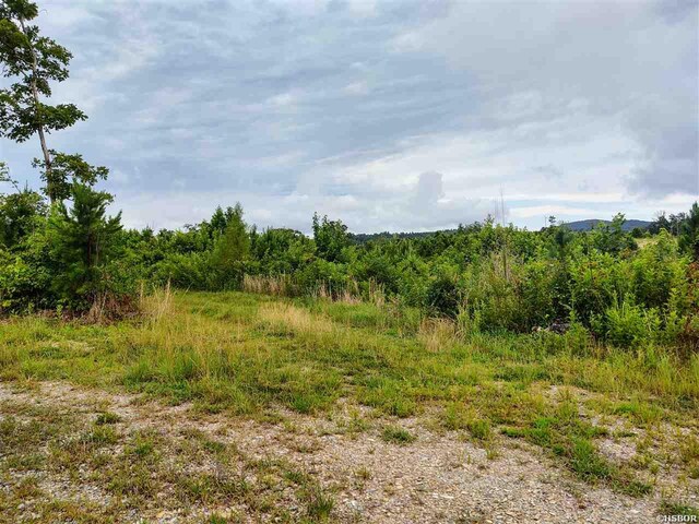 LOT21 Elk Mdws, Hot Springs, AR 71901 - photo 8