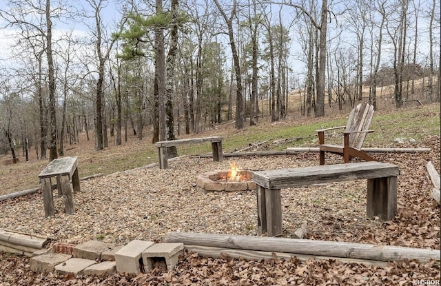 view of yard with an outdoor fire pit