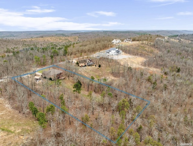 bird's eye view featuring a rural view