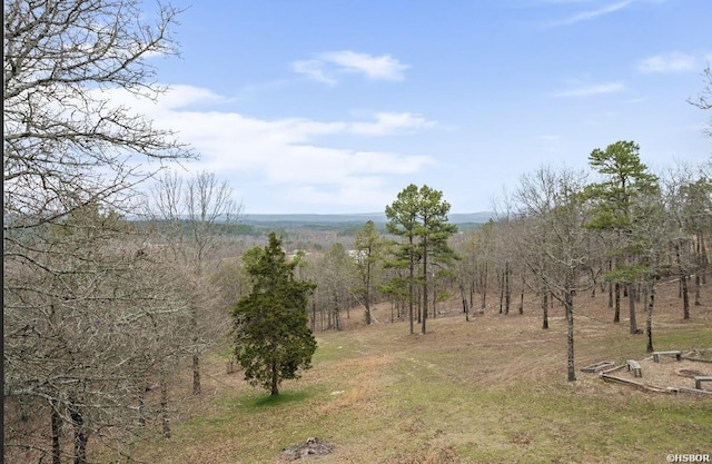 view of local wilderness