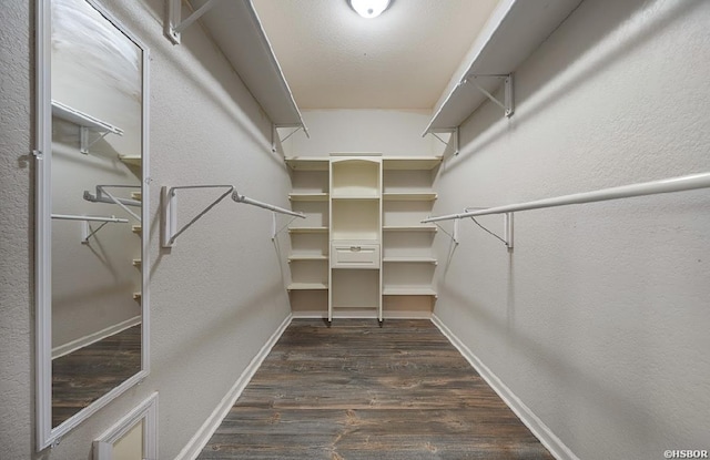 spacious closet with dark wood finished floors