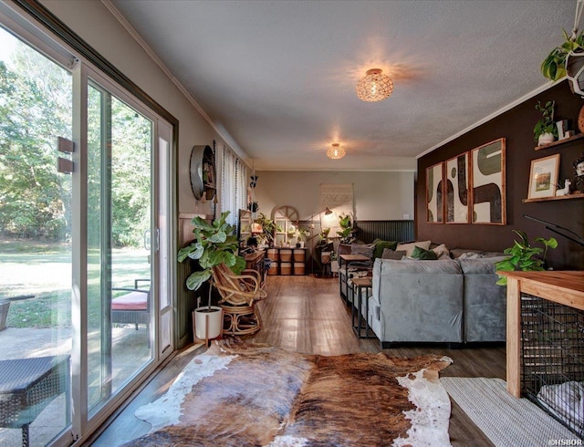 living room with dark wood-type flooring, a wainscoted wall, and crown molding