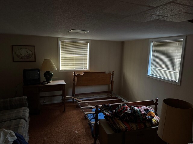 bedroom with carpet floors, multiple windows, and a textured ceiling