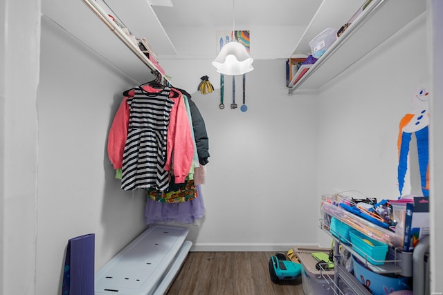 walk in closet featuring wood finished floors