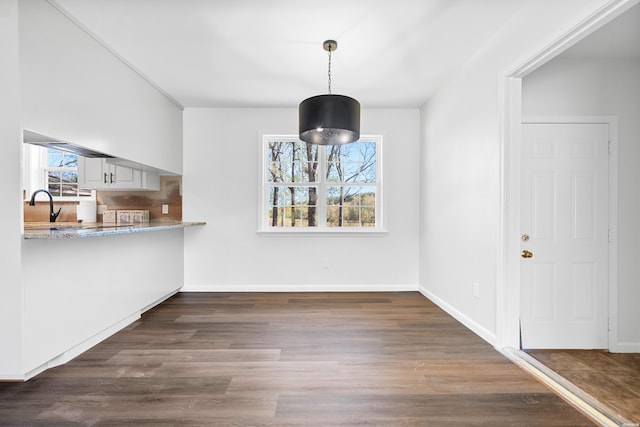 unfurnished dining area featuring dark wood-style floors, plenty of natural light, baseboards, and a sink