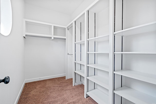 spacious closet with carpet