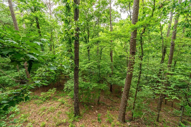 111 Black Oak Ct, Hot Springs, AR 71913 - view of wooded area