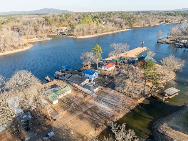 birds eye view of property featuring a wooded view and a water view