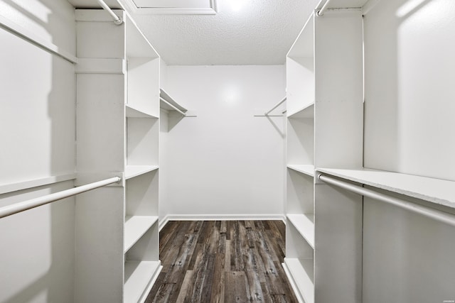 spacious closet featuring dark wood-style flooring