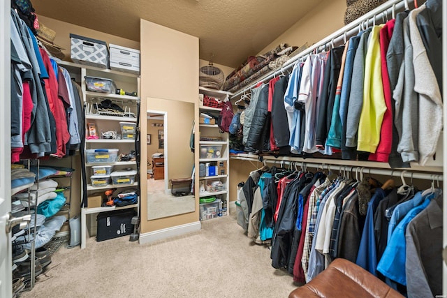 1380 Airport Rd Unit E-1, Hot Springs, AR 71913 - spacious closet with carpet