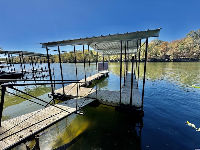 dock area featuring a water view