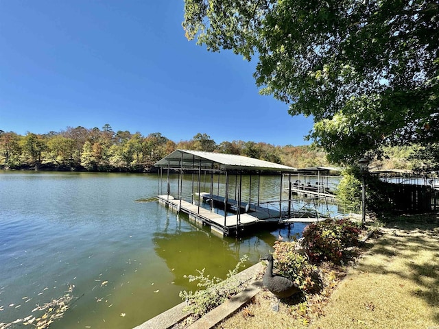 dock area featuring a water view