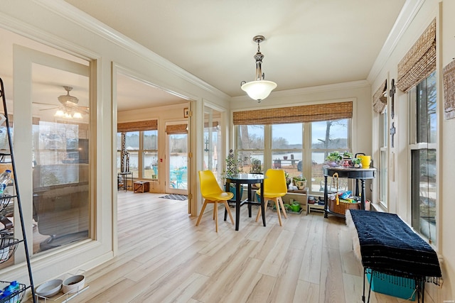 sunroom featuring a wealth of natural light