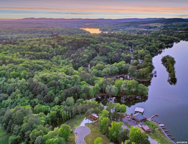 aerial view at dusk featuring a forest view and a water view