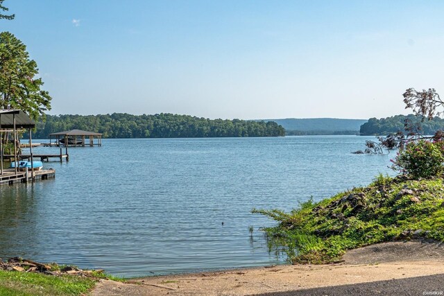 property view of water with a boat dock