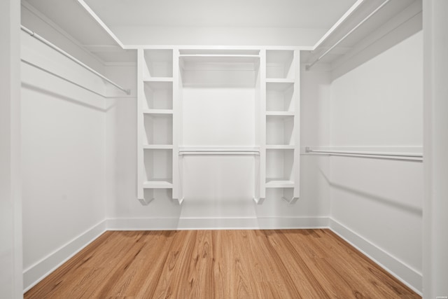 spacious closet featuring wood finished floors