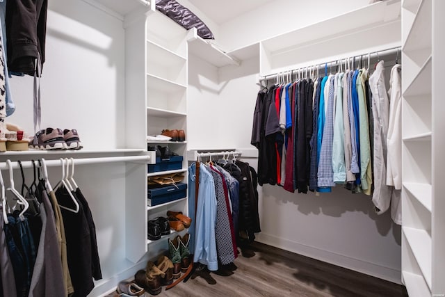 walk in closet featuring wood finished floors