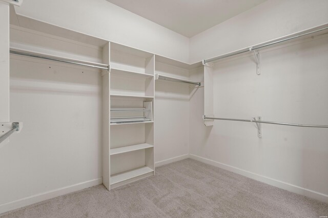 walk in closet featuring carpet