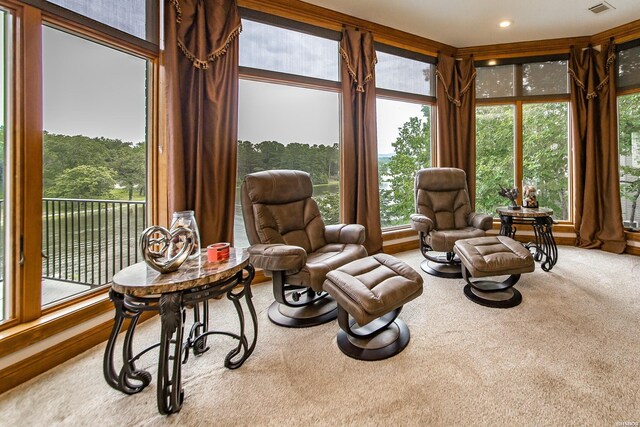 81 Stonegate Ter, Hot Springs, AR 71913 - photo 29