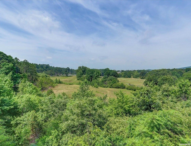 509 Belvedere Dr Unit B4, Hot Springs, AR 71901 - view of woods