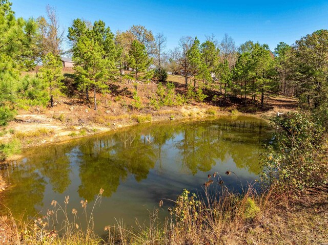 view of water feature